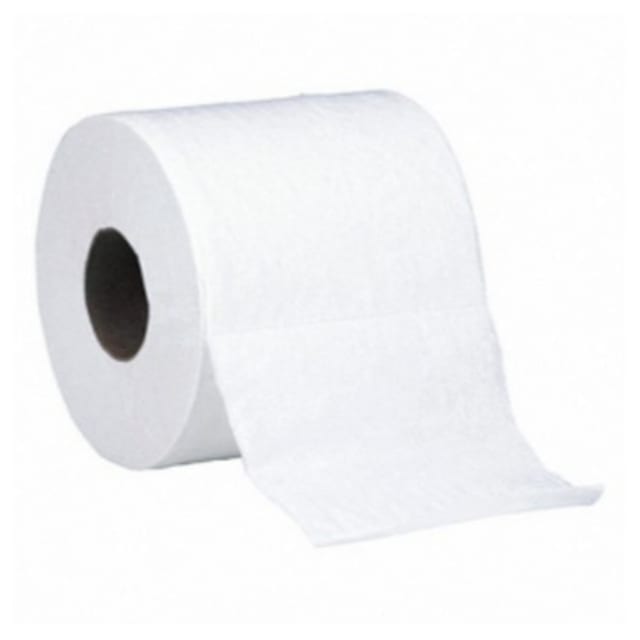 Toilet Paper (1 Roll).